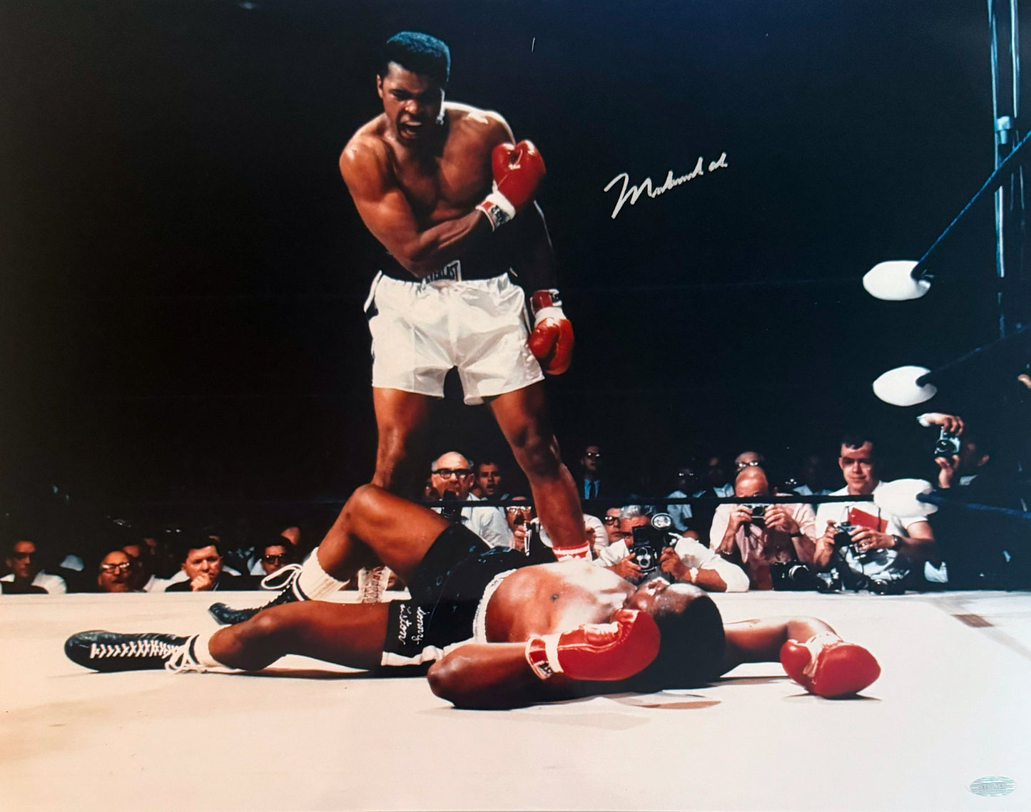 Muhammad Ali Signed 16x20 Boxing Autographed Photograph Mounted
