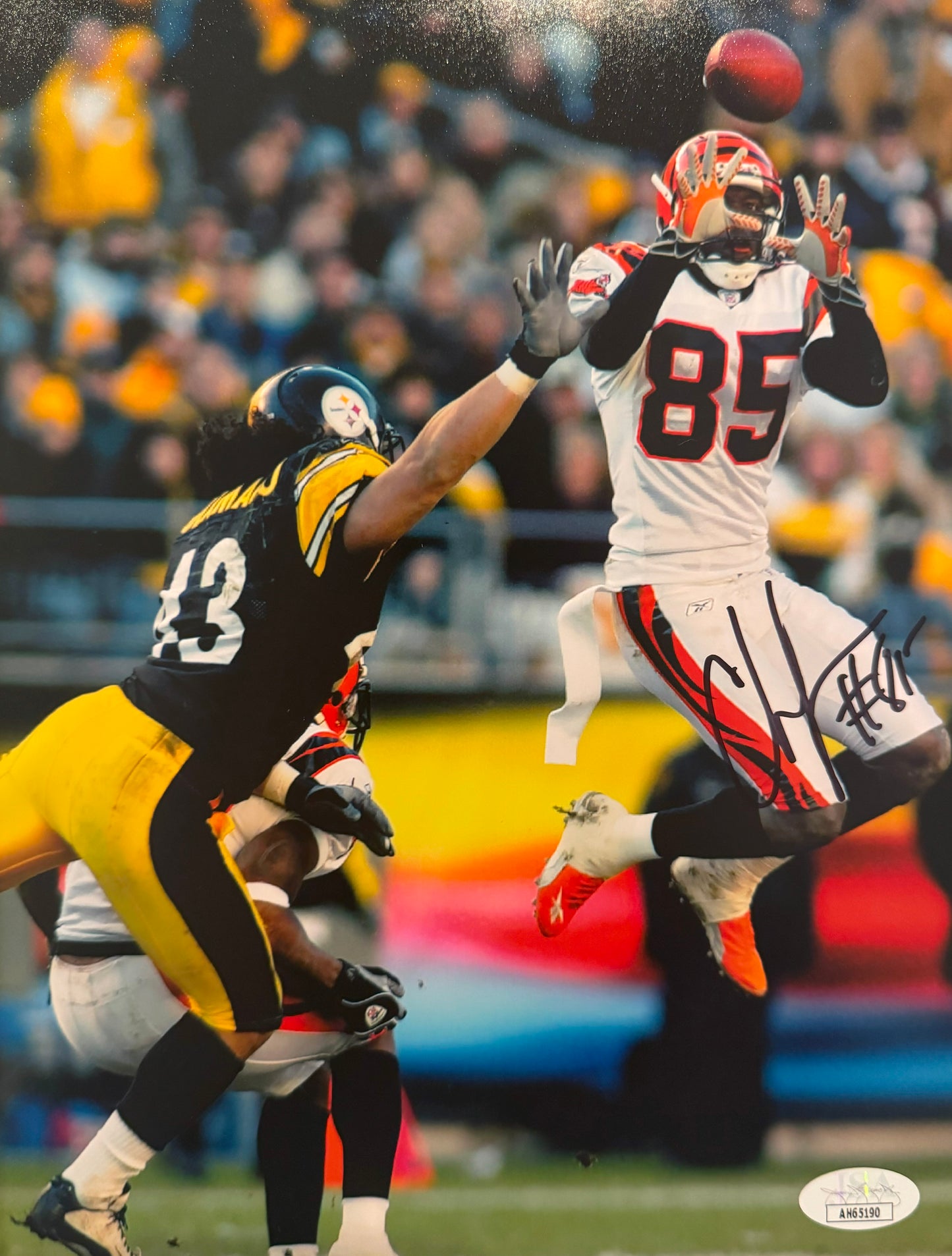 Chad Johnson Cincinnati 8x10 Autographed Photo JSA